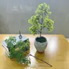 Planta em vaso de simulação material pinho de boas-vindas galhos e folhas de pinho cinco pinheiros árvore perene bonsai decorativo materiais de paisagismo