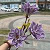Laranja 3D simulação de sensação magnólia 3 cabeças sensação olhando para magnólia de primavera maré nacional casamento macio flores artificiais atacado