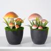 Maceta de lana artificial para plantar hongos, pequeña, fresca, para jardinería doméstica, bonsái de escritorio, planta verde, plantas en maceta, adornos decorativos para el hogar.