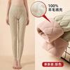 Calça Térmica de Algodão com Enchimento de Lã para Inverno, Resistente ao Frio, Forrada com Fleece, Espessa, Alta Elasticidade, Cintura Alta, Dropshipping Nordeste