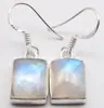 Novos Brincos Transfronteiriços de Diamante com Concha de Abalone Esculpida em Formato de Olho de Cavalo Brincos de Concha Azul Brincos com Franja Joias