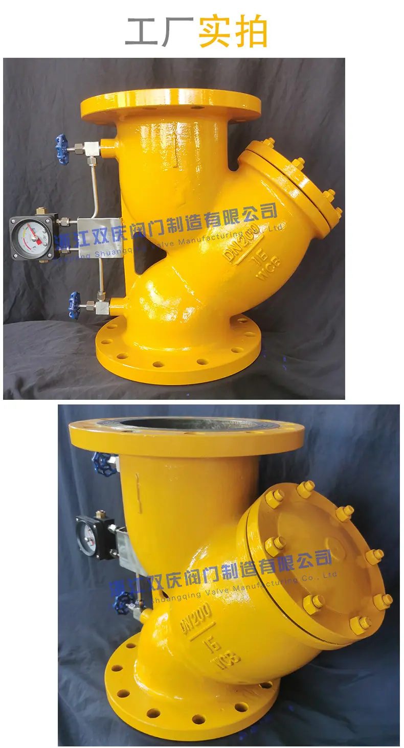 SQRQZY-DN200-16C-详情_06.jpg