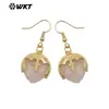Wt-E789 Ojo de Tigre Piedra Brillante Colgante Pequeño Chapado en Oro de 18K Pendientes con Gancho Accesorios Festivos Regalo para Mujeres