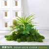 Planta de musgo artificial combinación de macetero para flores decoración de partición micro paisajismo planta verde biónica paisajismo interior bonsái