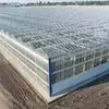 Base de Cultivo de Plántulas de Flores Invernadero de Vidrio, Invernadero Inteligente de Temperatura Controlada de Múltiples Vanos, Invernadero de Cultivo de Flores a Gran Escala