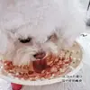Comederos de Plástico Coloridos Personalizados Transfronterizos para Mascotas Gatos, Comederos de Lamer para Perros, Comederos de Alimentación Lenta, Comederos de Plástico para Mascotas, Comederos de Alimentación Lenta, Tazones para Comida de Perros