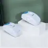 Repelente Ultrasónico Electrónico Popular de Ratones y Mosquitos de Amazon, Eliminador de Cucarachas para el Hogar, Eliminador y Repelente de Ratones Inofensivo