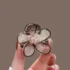 Pinza para el Cabello de Flor de Cristal Estilo Suave, Pasador de Moda para Controlar el Cabello Suelto, Versátil para el Uso Diario, Mini Accesorio para el Cabello de Malla