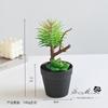 Flores Falsas, Bonsái Suculento Artificial, Adornos de Interior Modernos y Creativos, Plantas Verdes Artificiales, Plantas en Maceta Drop-Shipping de Una Pieza