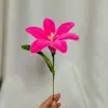 Flor de Lirio de Tallo Único Palo Retorcido Producto Terminado Artificial DIY Flor Eterna Hecho a Mano 520 Regalo Venta al por Mayor del Fabricante Envío 24H