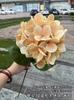 Hortensia rosa de impresión 3D de fábrica, cabeza única 3D, hortensia grande británica, blanco verde, decoración de boda, lote de flores falsas