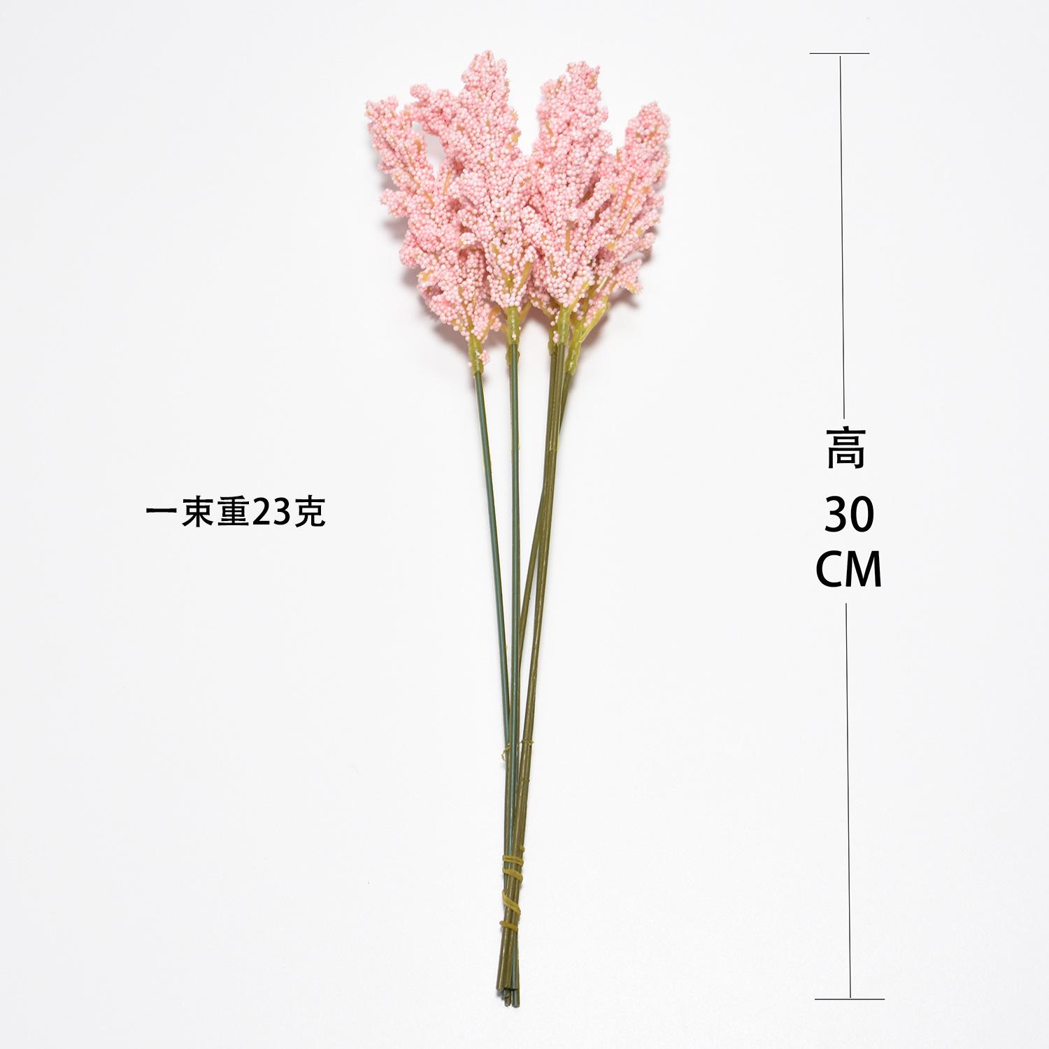 DSC_9782尺寸