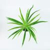 Ventas Directas de Fábrica Paredes de Plantas Simuladas Accesorios de Decoración de Paredes de Plantas Verdes Hierba Orquídea Araña Individual Hojas de Orquídea Araña con Borde Dorado
