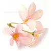 Orquídea Ramo Pequeño Flor Artificial Hecha a Mano Antigua Producción DIY Flor de Muñeca Accesorios para Peinado Material Decoración de Flores