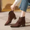 Botines de lujo ligero con cremallera trasera y tacón grueso para mujer, nuevos botines de tacón alto de punta para otoño e invierno 2026, botines de primavera y otoño