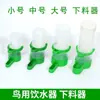 Bebedero para pájaros tanque de agua para alimentación loro comedero automático rutina pollo hervidor para beber externo alimentador caja de comida suministros