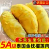 Pulpa Fresca de Durian Golden Pillow Tailandés, Envío Gratis Vía Sf Express, Pulpa de Fruta Congelada, Maduro en Árbol Importado, No es Durian Musang King, Uso Comercial