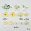 Kit de materiales de flor artificial de seda, flor de amapola estilo J, accesorio para pasador de pelo DIY, decoración de mesa, decoración de caja de regalo