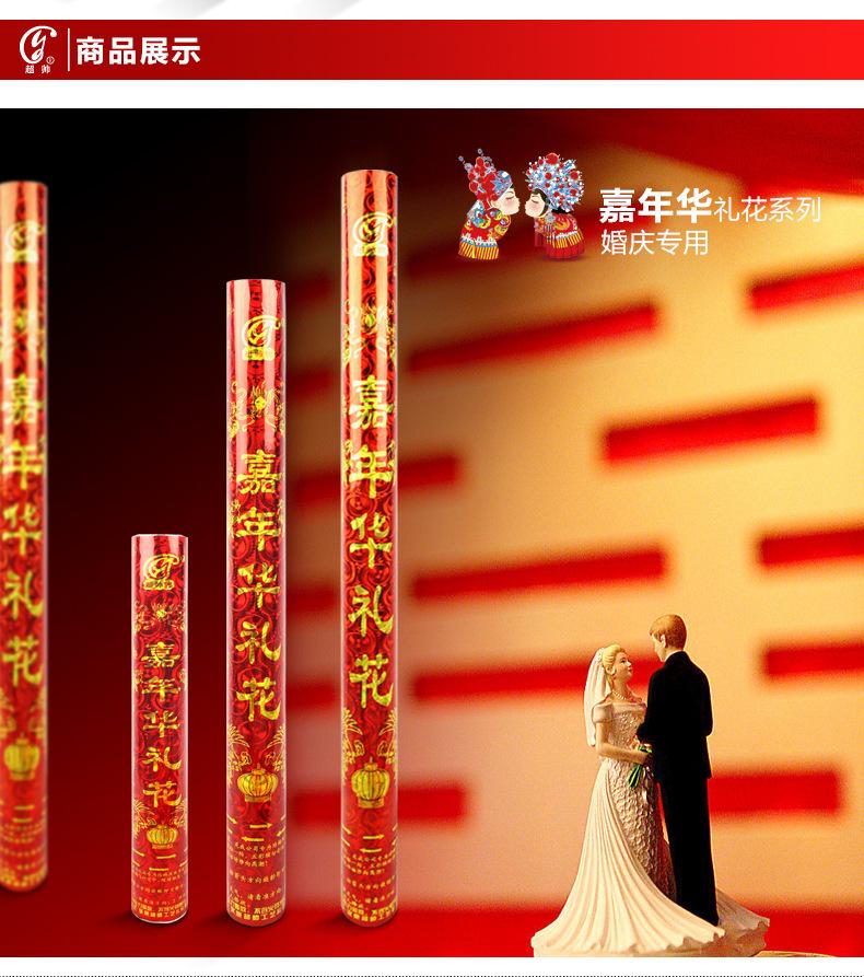 嘉年华综合_03