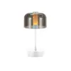 Luz de Noche Pequeña con Ambiente de Camping de Moda para Dormitorio Uso en el Hogar, Iluminación para Lectura, Recargable, Regulable, Lámpara de Mesa de Color Ajustable