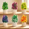 Nova Begônia Artificial Mais Vendida na Amazon Planta Verde em Vaso Estilo Europeu Fresca Decoração para Casa Fábrica Planta Verde Decorativa