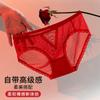Ropa Interior Sexy para Mujer Estilo Pura Pasión con Cortes de Malla de Cintura Baja, Delgada, Semitransparente, Atractivos Bordes de Encaje, Bragas Sexy para Mujer