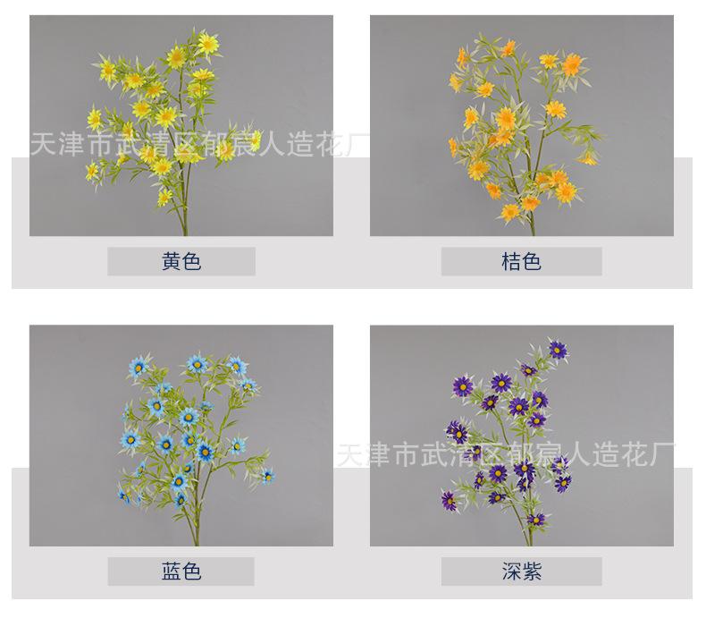 详情_03.jpg