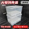 Caja de Mejora de Color para Tortugas, Caja de Cría de Tortugas Bebés, Caja de Aislamiento Blanco y Negro con Calefacción para Huevos de Tortuga, Kit de Cría de Tortugas Bebés con Placa de Sedimentación