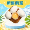 Ovos de ganso frescos de Heze, Shandong, 6 unidades por pacote, 140-160g, ovos de ganso crus, produtos agrícolas comestíveis, ovos de aves frescas, disponíveis para dropshipping