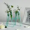 Tubo de Ensaio Vaso de Vidro Recipiente de Pequeno Diâmetro Arte Sala de Estar Ornamento Vintage Arranjo de Flores Vaso de Flores de Alta Qualidade Luxo Leve Retrô
