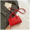Bolsa da Moda 2025 para Mulheres, Estilosa, Elegante, de Nicho, Simples, para o Dia a Dia, Bolsa de Ombro Único Transversal