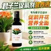 Solución Nutritiva Especial para Clivia, Previene la Caída de Brotes de Clivia, Promueve la Floración, Trata las Hojas Amarillas, Fertilizante Orgánico Líquido Nutritivo Universal