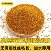 Isca para carpa bolinha bolha preto dourado grânulos a granel, alta proteína, para pesca em lago preto, peixe cozido, peixe escorregadio, carpa prateada, carpa, isca solta