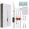 Escareador dental elétrico ultrassônico novo transfronteiriço portátil remoção de tártaro dois em um escareador dental atacado
