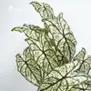 Folhas Artificiais de Calathea e Plantas Monstera Transfronteiriças, Ornamentos de Plantas Tropicais Verdes para Decoração de Casa, Adereços para Atacado