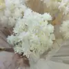 Flor de montanha pequena buquê de flores secas decoração luz luxo high-end diy material real flor air-dried importado espécime material de flor