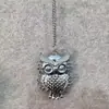 Cadena de suéter transfronteriza de Europa y Estados Unidos de alta gama para mujer, collar largo de moda de lujo ligero para otoño e invierno, decoraciones de nicho para combinar con todo