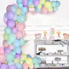 Directo de fábrica 100 Piezas Set de Cadena Macaron Blast Guirnalda Arco con Decoración para Fiesta de Cumpleaños