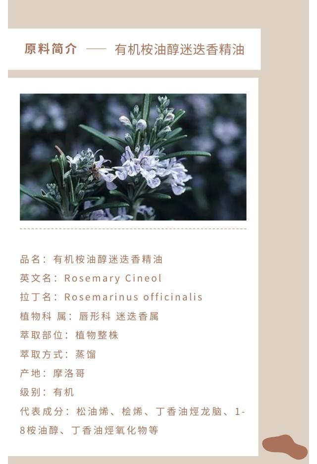桉油醇迷迭香精油.jpg