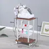 Carrinho de beleza para salão de beleza Suporte para instrumentos de bolha europeus Barbeiro Tatuagem Arte em unhas Ferramenta de ventosaterapia de ferro Frete grátis