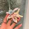 Presilhas de Cabelo Série Oceano, Flores Imortais, Estrelas-do-Mar, Conchas, Frutas Vermelhas, Acessórios de Cabeça, Acessórios de Cabelo para Foto de Viagem e Férias na Praia para Mulheres