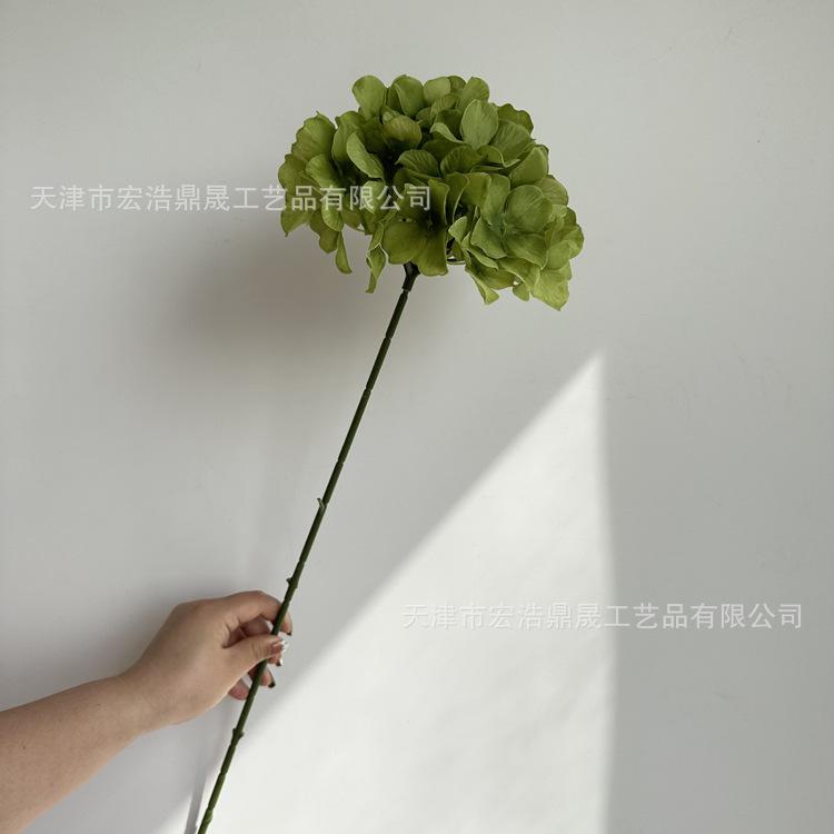 微信图片_202303081754092_副本