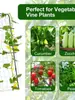 Treliça de Pepino Estilo Pastoral, Treliça de Feijão, Treliça de Uva, Treliça de Tomate, Estrutura de Suporte para Plantas Trepadeiras de Melão
