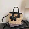 Bolso de Mano Otoño e Invierno Bolso Tote Pequeño para Mujer 2025 Nuevo Bolso Cubo de Felpa Bolso Sencillo de Hombro Cruzado Dropshipping