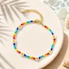 Pulseira de Miçangas Arco-Íris Flor Margarida Amazon Transfronteiriça para Mulheres, Pulseira Doce Estilo Coreano, Joia de Mão de Verão Atacado