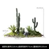 Decoração de Planta Artificial Durável de Alta Simulação Planta Verde Simulação Ornamentos de Planta Verde Cacto Cenário de Exibição de Janela Decoração