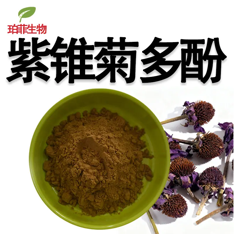 紫锥菊多酚