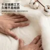 2026 Nuevo Edredón de Algodón de Xinjiang Colcha Universal Cuatro Estaciones Colcha de Aire Acondicionado Dormitorio Persona Única Engrosada Otoño Invierno Colcha de Algodón