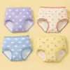 Nuevos calzones de algodón grado A para niñas, exquisito estampado floral, tela ligera y cómoda, estilo personalizado