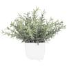 Plantas Simuladas de Venta Caliente Transfronteriza, Plantas Falsas, Plantas Verdes, Decoración Interior y Exterior Plástico Macetado Eucalipto Plantas Pequeñas en Maceta